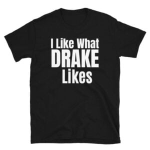 I Like What Drake Likes Shirt